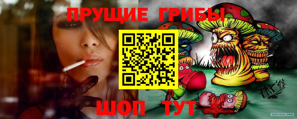 Елабуга  закладки  Вход с VPN  Псилоцибиновые грибы прущие грибы  Псилоцибиновые грибы GOLDEN TEACHER 